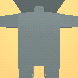 new costume