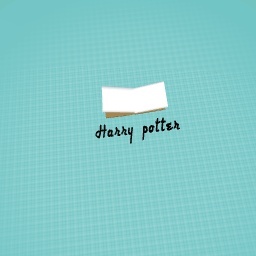 A harry potter book