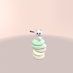 Kitty&Macaroons