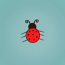 lady bug