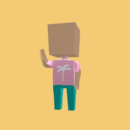 Pink Palm Puff Jumper and Pants