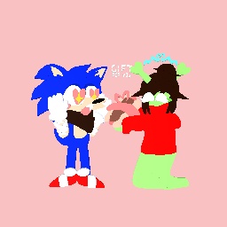 Gift for sonic