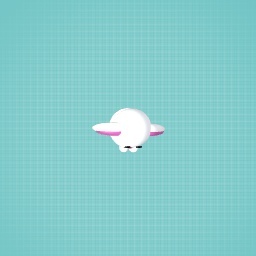 Bunny