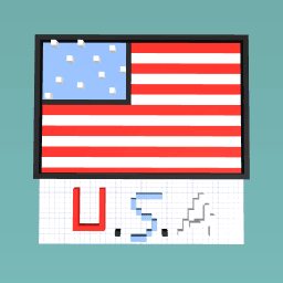 U.S.A