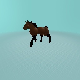 horse