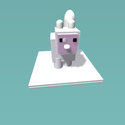 White bunny