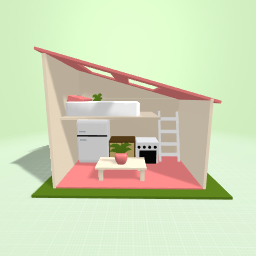 Lil house