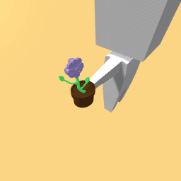 Purple Flower In A Pot