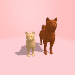 Cat and dog