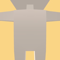 new costume