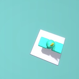 Bird flying up
