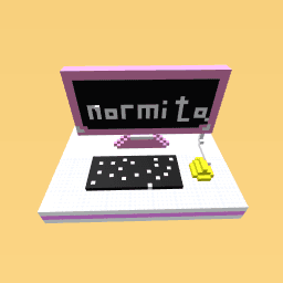 computer