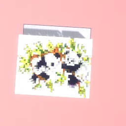 panda2