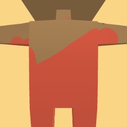 new costume