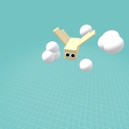 butter fly