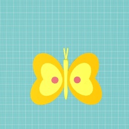 butterfly