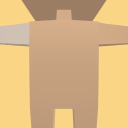 new costume