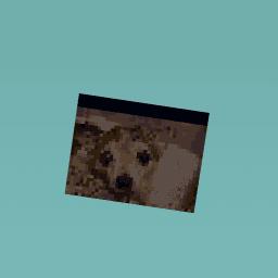 Marshel gets a bath