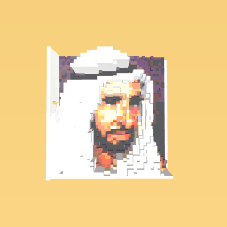 shake zayed