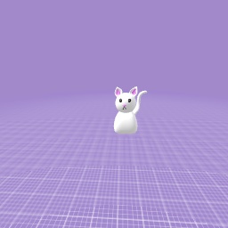 My cute kitten
