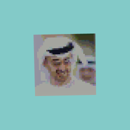 mohammed bin zayid