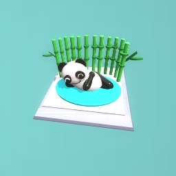 Panda gone wild