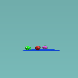 Fish swiming