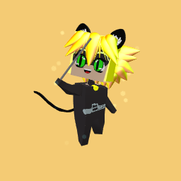 Cat noir
