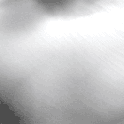PERSON