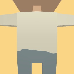 new costume