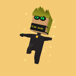 Cat Noir