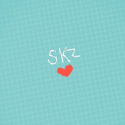 Skzzz I love uuuuuuuuu! !