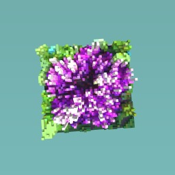 My purple flower
