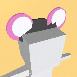 Mouse hat