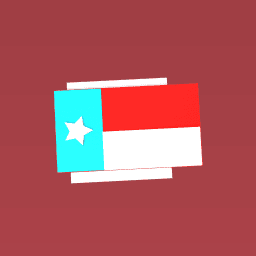 Texas flag
