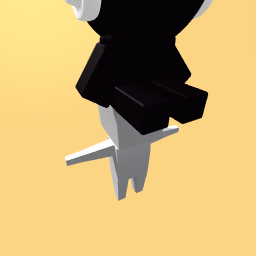 Cats sit on your head!