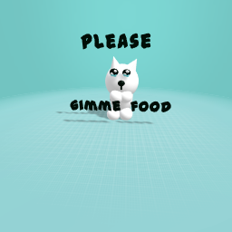 Cat begging for food