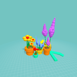 Bài 5 : Vuon hoa truoc hien nha