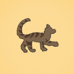 A basic brown tabby cat