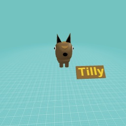 Tilly