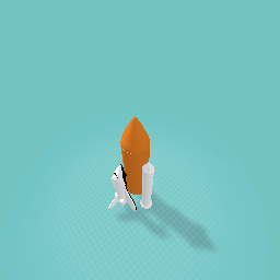 Space shuttle