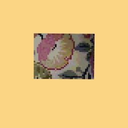 Pleas take the photo