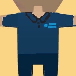 My schools P.E uniform