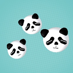 Panda contest