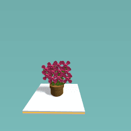Flower pot 2