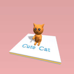 Cute cat