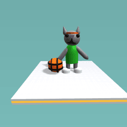 Basket ball cat