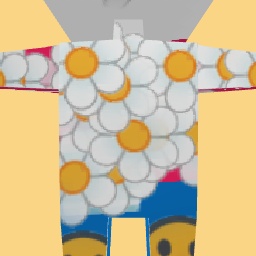 new costume