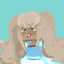 Kwne