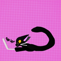 Dee typing something!